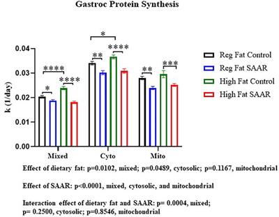 Rates of protein synthesis are maintained in brain but reduced in skeletal muscle during dietary sulfur amino acid restriction